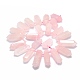 Natural Rose Quartz Beads Strands G-F715-053-2