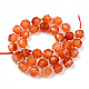 Natural Carnelian Beads Strands X-G-R482-18-10mm-2