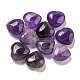 Natürlichen Amethyst Perlen&nbsp;G-P531-A30-01-1
