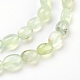 Chapelets de perles en préhnite naturelle G-F575-18I-2