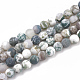 Chapelets de perles en agate d'arbre naturelle G-T106-036-1