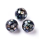 Perles de coquillages d'ormeau naturelles SSHEL-E437-1-2