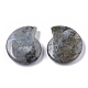 Perle di labradorite naturale X-G-R464-008A-2