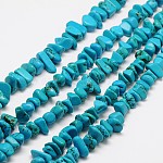 Copeaux de perles de magnésite naturelle brins, teinte, turquoise, 7~14x6~10mm, Trou: 1mm, 16.1 pouce