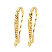 Латунные крючки для сережек EJEW-R025-14G