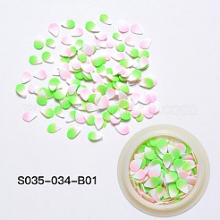 Fimo a mano accessori nail art decorazione&nbsp;CLAY-S035-034-B01