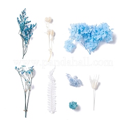Getrocknete Blumen&nbsp;X-DIY-D052-10