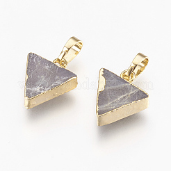 Breloques en labradorite naturelle&nbsp;G-E493-N01-G