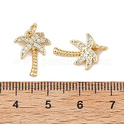 Pendentifs en laiton Shegrace avec micro-pavé de zircone cubique transparente&nbsp;X-XGRQ2C285-409G