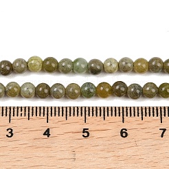 Natürliche Kanada Jade Perlenstränge&nbsp;G-B171-B01-4mm
