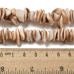Hebras de cuentas de concha de concha natural&nbsp;SSHEL-H072-06