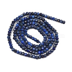 Lapis naturali tinti perline Lazuli trefoli&nbsp;G-K376-B05-01