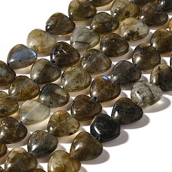 Perline labradorite naturale fili&nbsp;G-R190-10mm-52