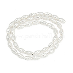 Galvanisierte Muschelperlenstränge&nbsp;BSHE-Z009-12