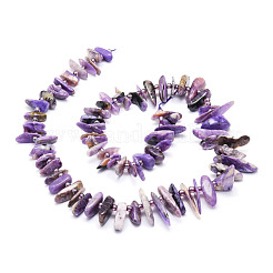 Naturperlen Stränge charoite&nbsp;G-E569-O03