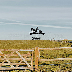 Windrichtungsanzeiger aus Eisen&nbsp;AJEW-WH0265-081