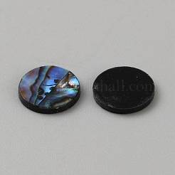 Cabochons coquille d'ormeau naturel / coquille de paua&nbsp;SHEL-WH0008-04A