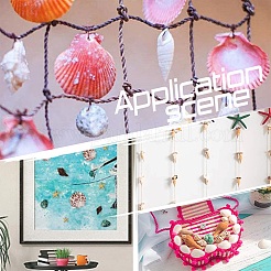 Shell perle naturali&nbsp;SSHEL-PH0001-07