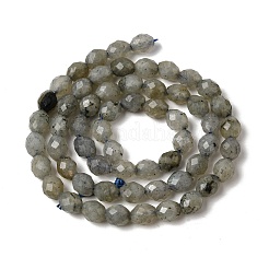 Natur Labradorit Perlen Stränge&nbsp;G-K376-F07-01