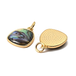 Natürliche Eieranhänger aus Paua-Muschel&nbsp;KK-G538-21G