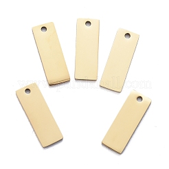 Placcatura ionica (ip) ciondoli in acciaio inossidabile 304&nbsp;LS-STAS-I140-22B-A