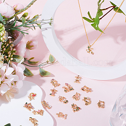 26pcs 26 pendentifs en émail en alliage de style&nbsp;FIND-SC0005-48