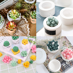 4 stampo per fondente a forma di piante succulente&nbsp;DIY-GF0003-37