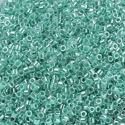 Perles miyuki delica&nbsp;SEED-J020-DB0238