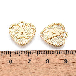 Pendentifs en alliage&nbsp;PALLOY-N157-001A-NR