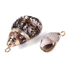 Pendentifs en spirale naturelle galvanoplastie&nbsp;SSHEL-Q100-44G