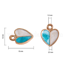 Pendentifs d'émail en alliage&nbsp;ENAM-CJ0001-28