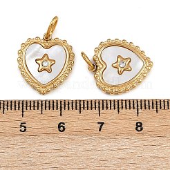 304 Edelstahl Pavé-Anhänger aus natürlichen Muscheln&nbsp;STAS-Z152-13G