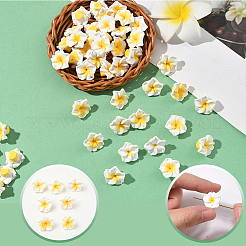 100pcs handgefertigte Fimo 3d Blume Plumeria Perlen&nbsp;CLAY-SC0002-48C