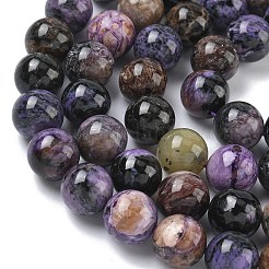 Naturperlen Stränge charoite&nbsp;G-C270-O03-12