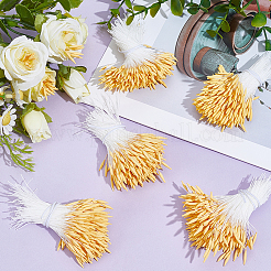 5 Bündel Baumwolle und Gesso&nbsp;DIY-GF0013-35A