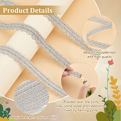 Bordure en dentelle métallique tressée en polyester&nbsp;SRIB-WH0011-180A-02