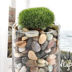 Perline di pietra preziosa naturale&nbsp;G-J402-01B