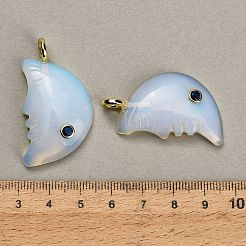 Pendentifs opalite&nbsp;GG-CBA4625-01G-01