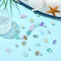 Kits de accesorios para hacer tú mismo cuentas de vidrio y acrílico&nbsp;DIY-FS0009-32