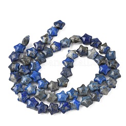 Natürliche Lapislazuli-Sternperlenstränge&nbsp;G-Z080-A05