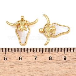 Pendentifs en acier inoxydable 304 et coquillages d'eau douce naturelle&nbsp;SH-CBA6A0D-01G
