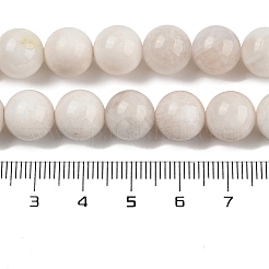 Brins de perles de pierre de lune arc-en-ciel naturel&nbsp;G-N328-024-10mm-AB
