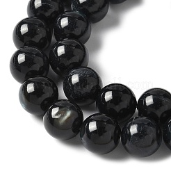 Natur schwarz Lippe Shell Perlen Stränge&nbsp;SSHEL-C013-01D