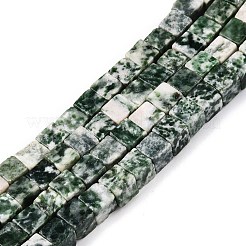 Natürliche grüne Fleck Jaspis Perlen Stränge&nbsp;G-T139-6x6-23A