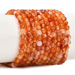 Naturelles fleurs agate perles brins&nbsp;G-B175-D23-4mm