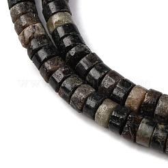 Perline biotite naturale fili&nbsp;G-L624-I12-3x6mm