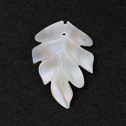 Pendentifs en coquillage naturel&nbsp;SSHEL-K001-002