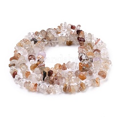 Chip natürliche Rutilquarz Perlenstränge&nbsp;X-G-L454-08