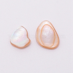 Shell perle naturali&nbsp;SSHEL-WH0002-02A