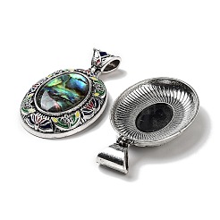 Natur Paua Muschel Anhänger&nbsp;FIND-A041-01AS-07